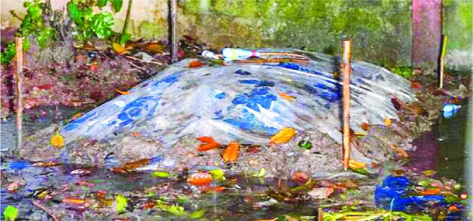 Image of মো: আনাছ মিয়া